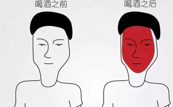 喝酒容易脸红的原因